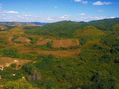 -塞罕坝国家级自然保护区