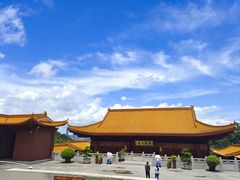 -深圳仙湖植物园