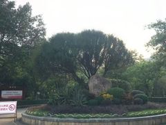 -滴水岩森林公园