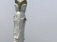 -白洋淀景区
