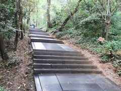 -上海佘山国家森林公园西佘山园