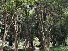 -中南财经政法大学(首义校区)