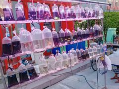 -华声天桥民俗文化园