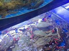 -福禧荟·海鲜自助
