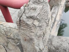 -韩城古城