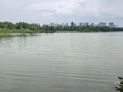 -洋湖国家湿地公园