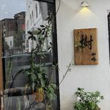 树下，一杯咖啡一本书。
