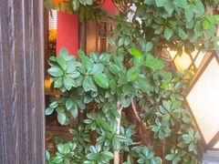 -颐和•海鲜砂锅粥•啫啫煲(奥林匹克广场店)