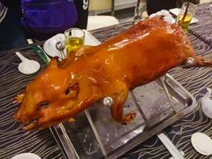 -西贡河游船