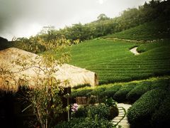 -优游吧斯邹族文化部落