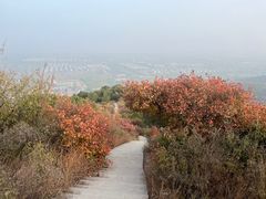 -北京西山国家森林公园