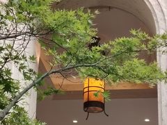 -虹御轩·传承江浙菜(虹桥店)