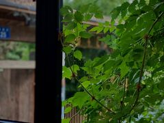 -兰桂坊·花园餐厅(西湖店)