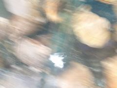 -兴隆海鲜菜馆