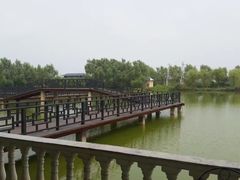 -泗洪洪泽湖湿地景区