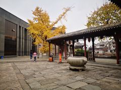 -龙潭水乡