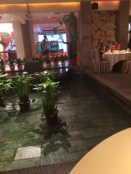 -惠食佳·宴会厅(滨江西路店)