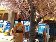 -大江户·温泉洗浴(浑南店)