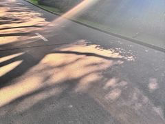 -上海虹桥迎宾馆