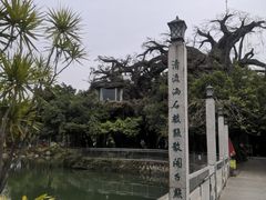 -海上田园