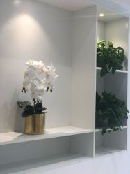 -MIVI半永久纹眉绣眉