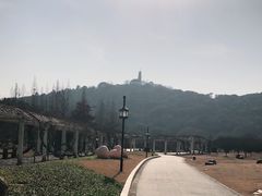 -苏州上方山国家森林公园