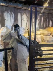 -酷嗒动物文化乐园(cutezoo西溪乐天城店)