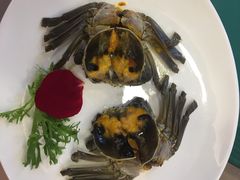 -王宝和酒家(黄浦店)