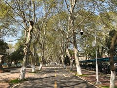 -华中科技大学东三学生食堂