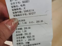-暖阳宠物医院·犬猫康复中心·骨科