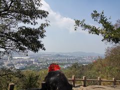 -灵岩山风景区