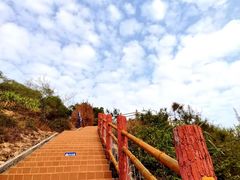 -广东惠东海龟国家级自然保护区