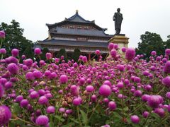 -广州中山纪念堂