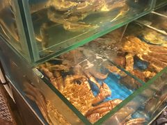 -平川日本料理