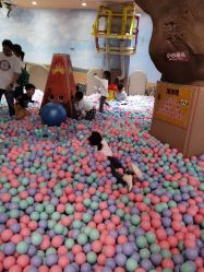 -卡通尼·Safari非洲探索乐园·生日会(金桥国际商业广场店)