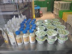 -德禄酸奶(莫家街店)