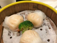-浦江城市生活广场(江月路店)