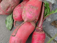 -锦江中华村农家乐饭庄