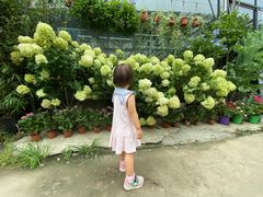 -金科花卉市场