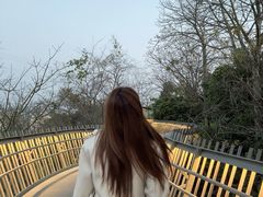-福道