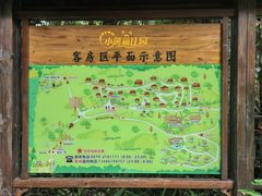 -普洱太阳河森林公园
