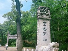 -灵谷景区
