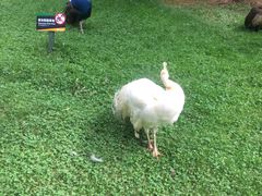 -昆明动物园