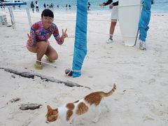 -环滩岛