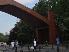 -日照海滨国家森林公园