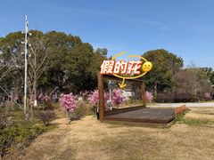-金鸡湖桃花岛