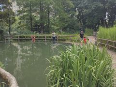 -成都市活水公园