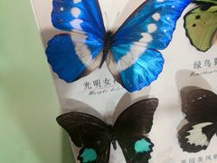 -蝴蝶泉公园