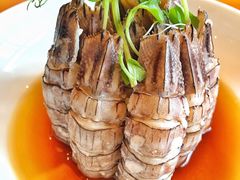 醉虾姑-宁波柏悦酒店·钱湖渔港