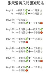 -Fundi张玉珊修身堂·indiba·BTL科技瘦身